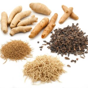 Variedad de adaptógenos naturales: cúrcuma, ashwagandha y shatavari.
