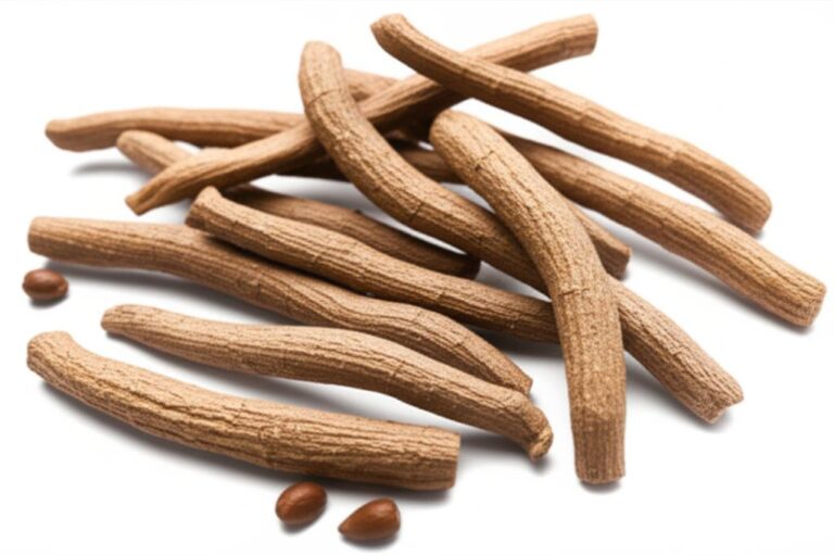 Raíces de Ashwagandha secas con semillas, ingredientes naturales para suplementos nutricionales