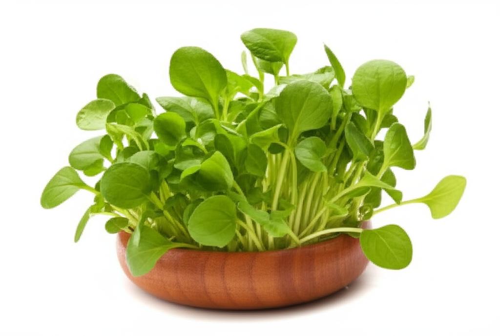 Imagen de una mesa mostrando Berro fresco, destacando su intenso color verde y valor nutricional.