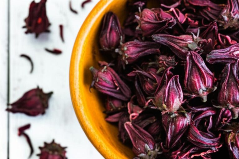 Flor de Jamaica seca en tazón de madera, lista para infusión