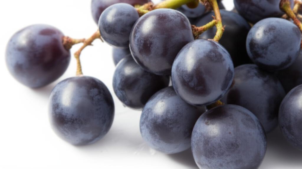 Racimo de uvas negras maduras con tallo verde.